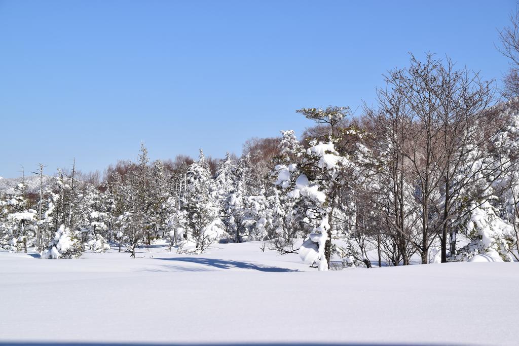 Villa Ichinose Yamanouchi  Bagian luar foto